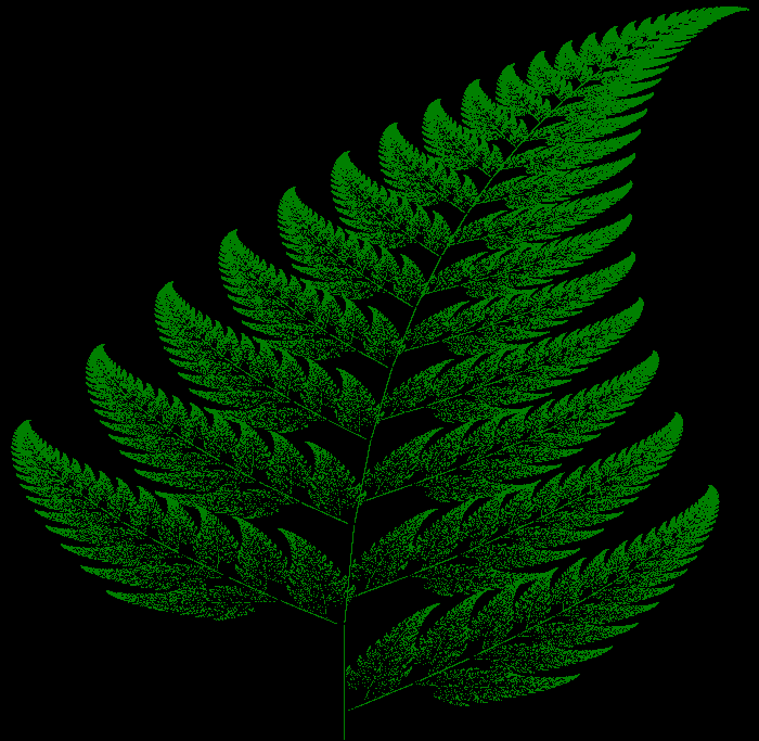 Python created image of Barnsley Fern